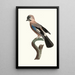 Le Geai d'Europe - Jacques Barraband — framed artwork on a wall