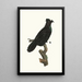 Le Sifilet dans l'état de repos - Jacques Barraband — framed artwork on a wall