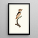 Le Tamatia collier noir - Jacques Barraband — framed artwork on a wall