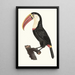 Le Toucan - Jacques Barraband — framed artwork on a wall