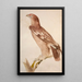 Tacheted eagle painting - Jacques Barraband — framed artwork on a wall