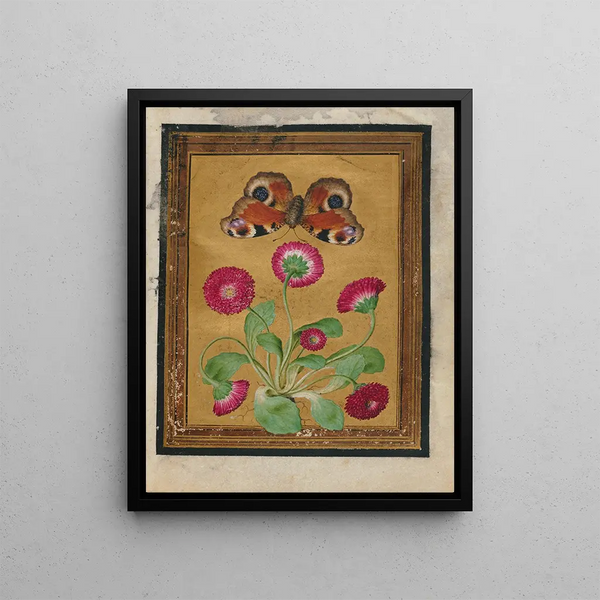Flower, butterfly, and insect paintings Pl1 - Jacques Le Moyne de Morgues — framed artwork on a wall