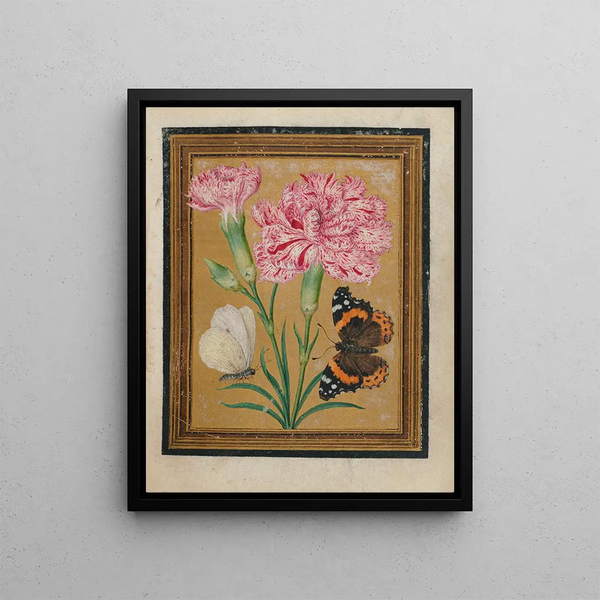 flower, butterfly, and insect paintings Pl5 - Jacques Le Moyne de Morgues — framed artwork on a wall