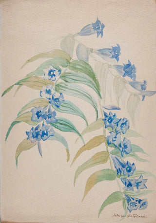 Jadwiga Gazowska - Twigs with blue flowers.webp