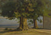 Old tree and view of a vast plain - Jakob Becker — artwork view