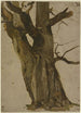 Hollow Tree - Jakob Becker — artwork view