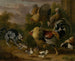 A cat among roosters - Jakob Bogdani — artwork view