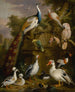 A gathering of birds in a park landscape - Jakob Bogdány — artwork view