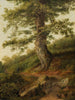 an Old Olive Tree near Camaldoli - Jakob Philipp Hackert — artwork view