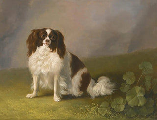 Portrait of a King Charles Spaniel in a landscape - Jakob Philipp Hackert — artwork view