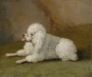 Portrait of a Poodle - Jakob Philipp Hackert — artwork view