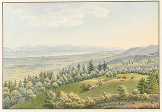 View from the Pavilion of the Mont Field - Jakob Samuel Weibel — artwork view