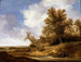 A road near the cottages - Jacob van Moscher — artwork view