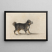 a Mâtin with a golden collar - Jakob Walther — framed artwork on a wall