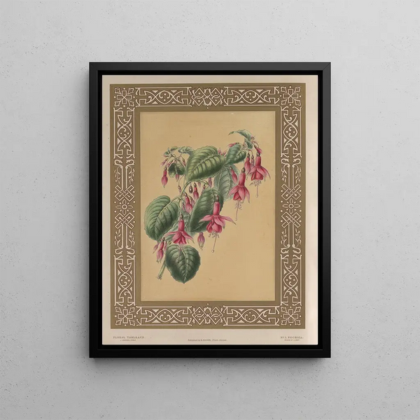 The Fuchsia - James Andrews — framed artwork on a wall