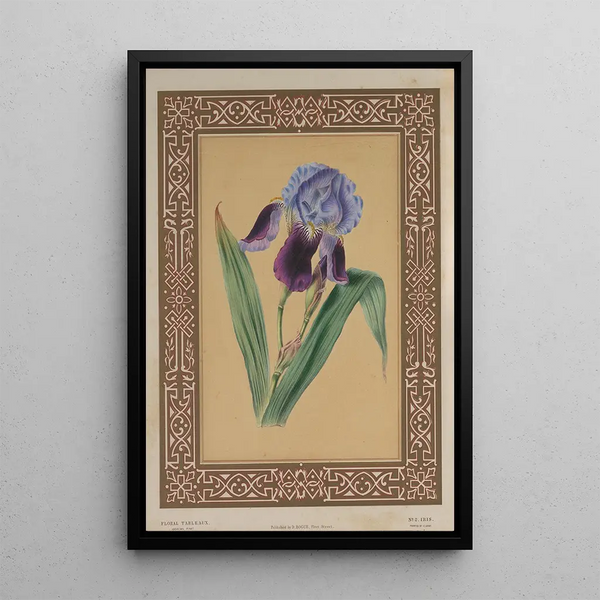 L'iris - James Andrews — framed artwork on a wall