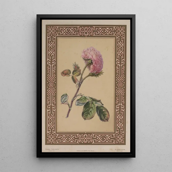 La rose mousse - James Andrews — framed artwork on a wall