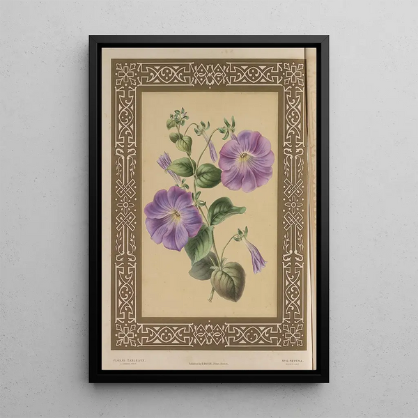 La pétunia - James Andrews — framed artwork on a wall