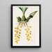 Peristeria Barkeri - James Bateman | Painting — framed artwork on a wall