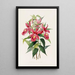 Sobralia Macrantha - James Bateman — framed artwork on a wall