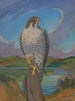 Falcon Peregrine - James C. Kulhanek — artwork view