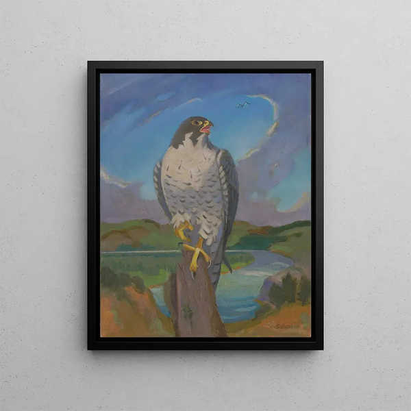 Falcon Peregrine - James C. Kulhanek — framed artwork on a wall