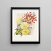 Daisies - James Callowhill — framed artwork on a wall