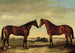 Pair of Horses - James Clark — artwork view