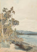 on the northeast bank of the Buller - James Crowe Richmond — artwork view
