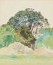 Docteur Taranaki - James Crowe Richmond — artwork view