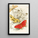 Asthenia podaliriaria Macrotes netrix Venilia sospita Eumelia Rosalia - James Duncan — framed artwork on a wall