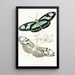 Cethosia Dido - James Duncan — framed artwork on a wall