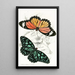 Euploea Limniace Euploea Plexippe - James Duncan — framed artwork on a wall