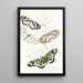Heliconia Flora Heliconia Diaphana Acraea Pasiphae - James Duncan — framed artwork on a wall