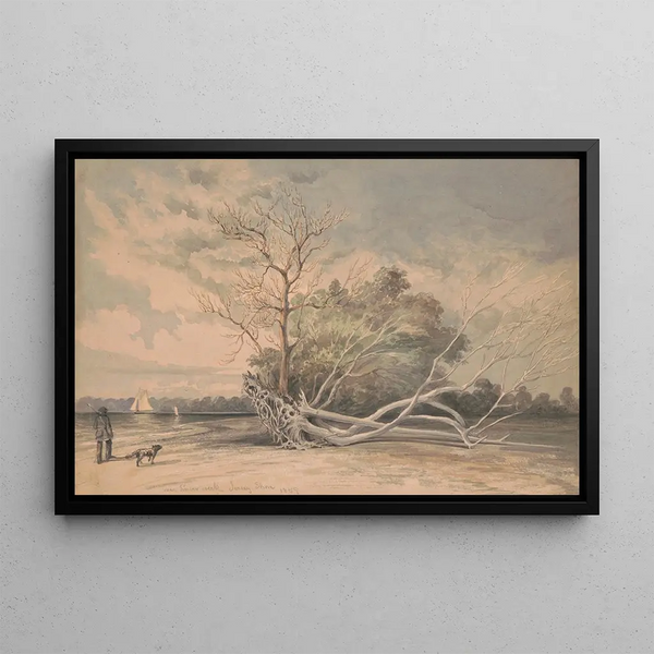 Near Timber Creek, New Jersey coast - James Fuller Queen — framed artwork on a wall