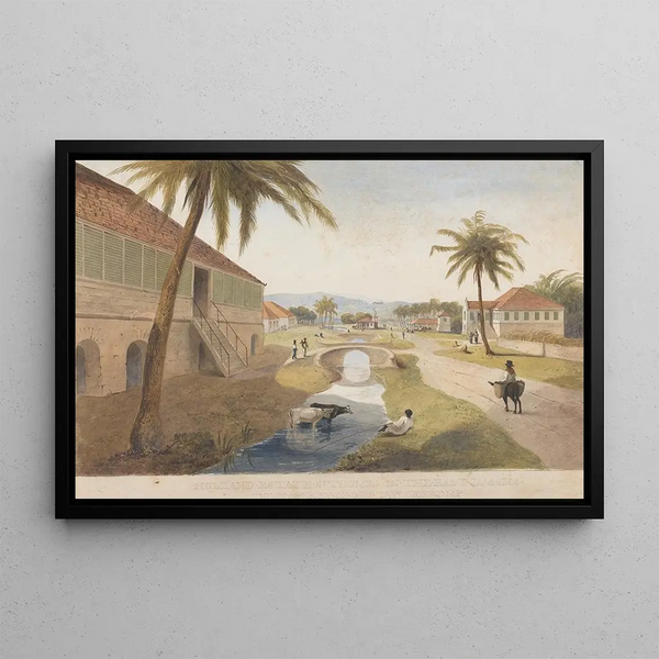 Domaine Holland Saint-Thomas in Eastern Jamaica - James Hakewill — framed artwork on a wall