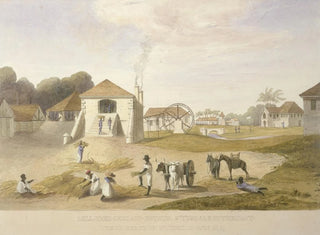 Cour de moulin, domaine Holland, Saint-Thomas à l'Est - James Hakewill — artwork view
