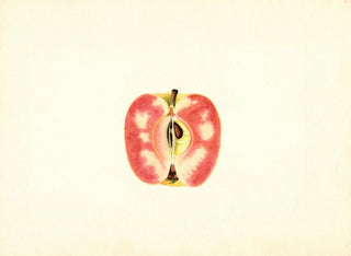 Apple domestique Surprise - James Marion Shull — artwork view