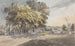 House and Trees - James Miller — artwork view