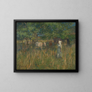 Tess - James Nairn — framed artwork on a wall