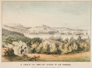 View of the city and port of San Francisco - James S Baillie — artwork view