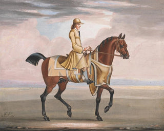 A brown horse in exercise - James Seymour — artwork view