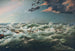 L'Admella shipwrecked at Cape Banks on August 6, 1859 - James Shaw — artwork view