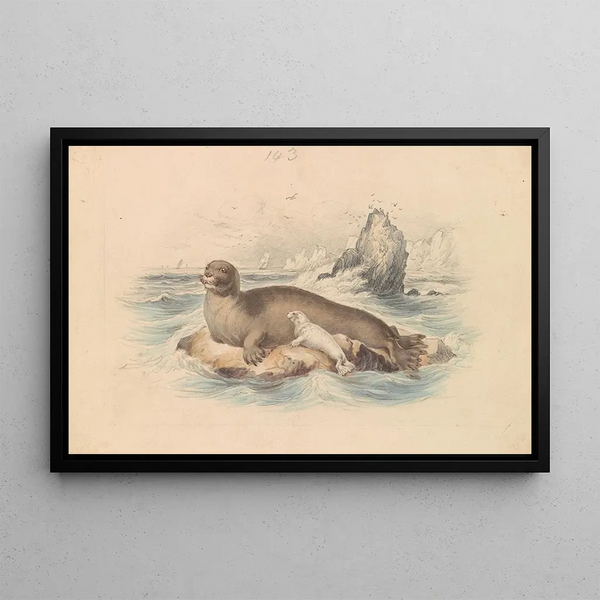 The Bearded Seal - James Stewart — framed artwork on a wall