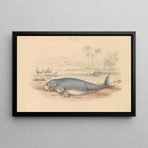The Dugong - James Stewart — framed artwork on a wall