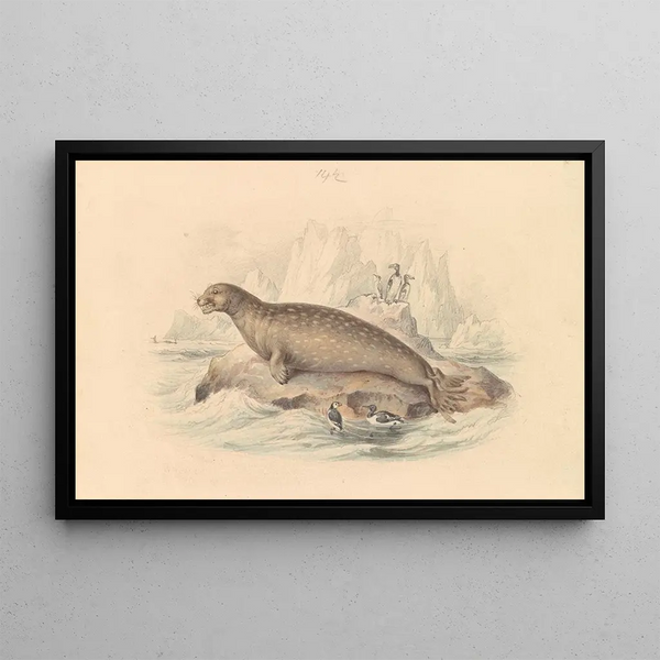The Leopard Seal - James Stewart — framed artwork on a wall