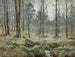 Sunny April Morning Painting in Betws-y-Coed, North Wales - James Thomas Watts — artwork view