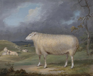 A Border Leicester Sheep - James Ward — artwork view