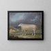 A Border Leicester Sheep - James Ward — framed artwork on a wall