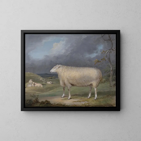 A Border Leicester Sheep - James Ward — framed artwork on a wall